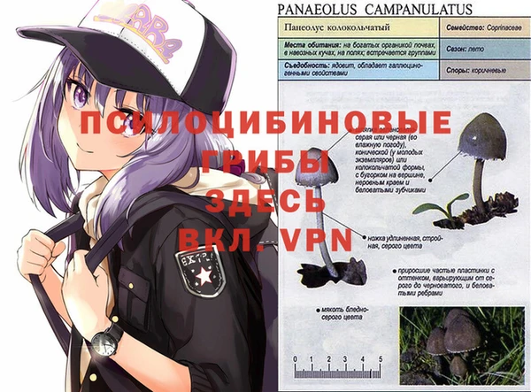 каннабис Балахна