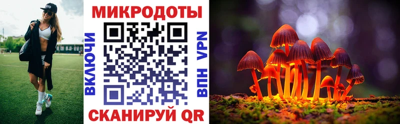 купить закладку  Куровское  Псилоцибиновые грибы MAGIC MUSHROOMS 