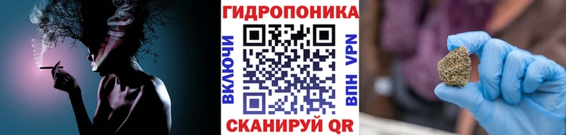 hydra ТОР  закладки  сайты даркнета Telegram  Шишки марихуана Bruce Banner  Куровское 